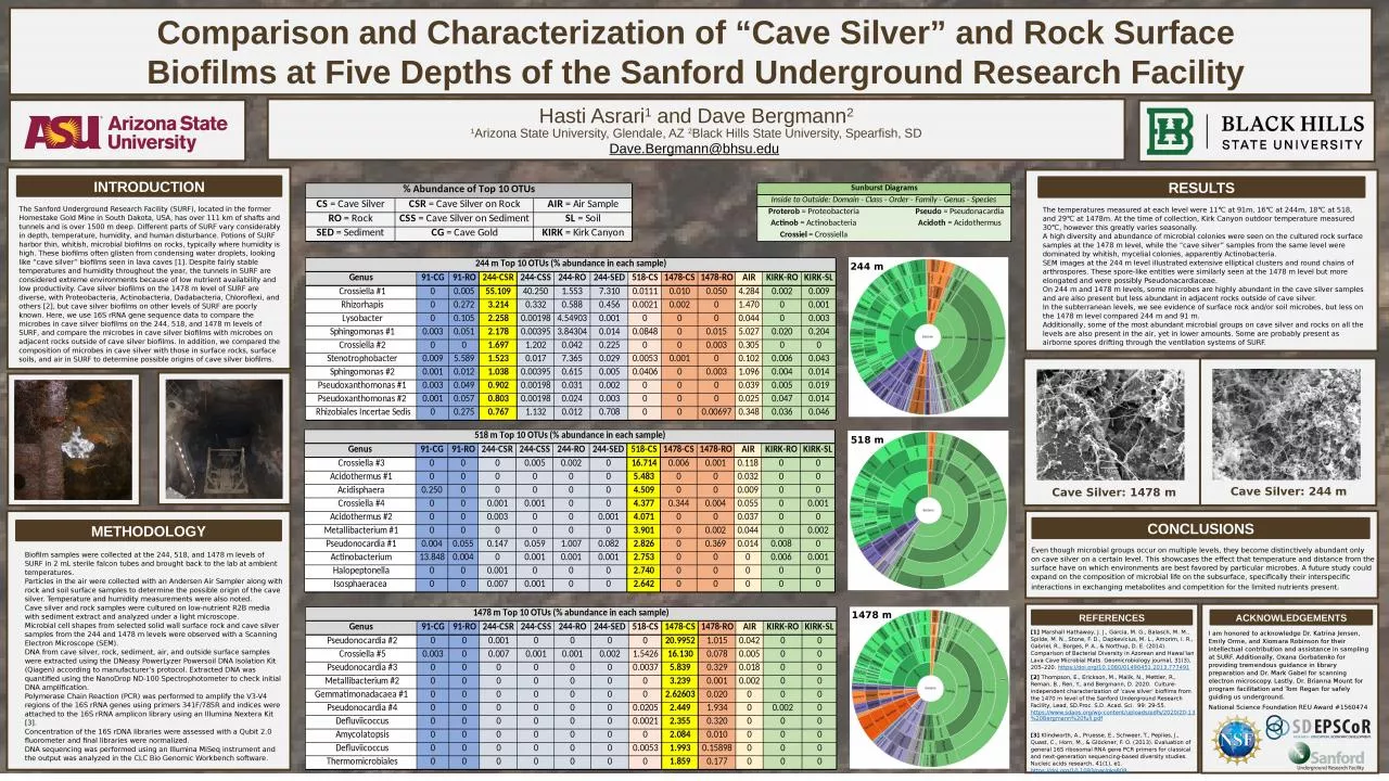 PPT-Comparison and Characterization of “Cave Silver” and Rock Surface Biofilms at Five