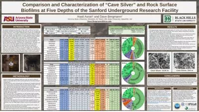 Comparison and Characterization of “Cave Silver” and Rock Surface Biofilms at Five Depths of th