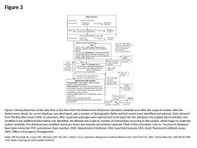 Figure 3 Figure 3.&nbsp;Depiction of the data flow at the New York City Bioterrorism