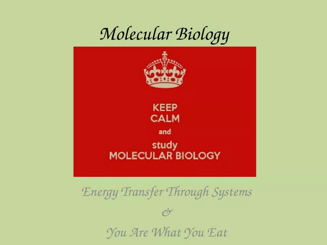 PPT-Molecular Biology Energy Transfer