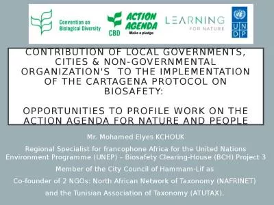 Contribution of local governments, cities & Non-governmental organization's  to the