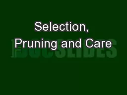 Selection, Pruning and Care