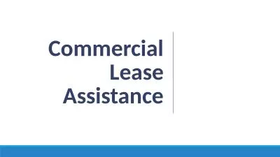Commercial Lease Assistance