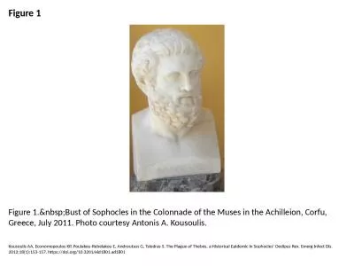 Figure 1 Figure 1.&nbsp;Bust of Sophocles in the Colonnade of the Muses in the Achilleion,