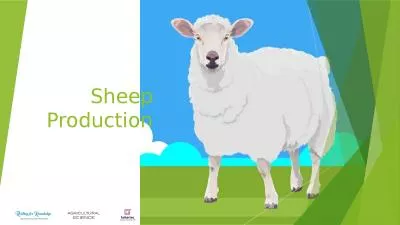 Sheep Production Learning Outcomes