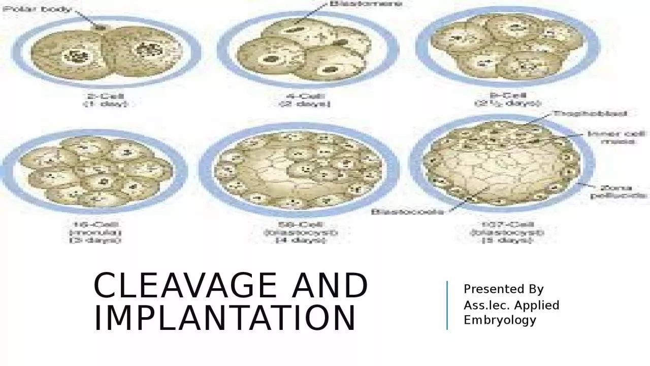 PPT-Cleavage and Implantation