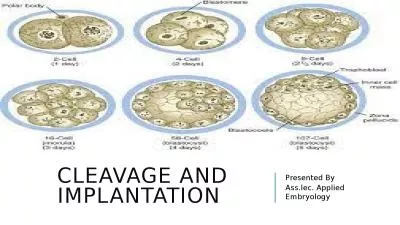 Cleavage and Implantation