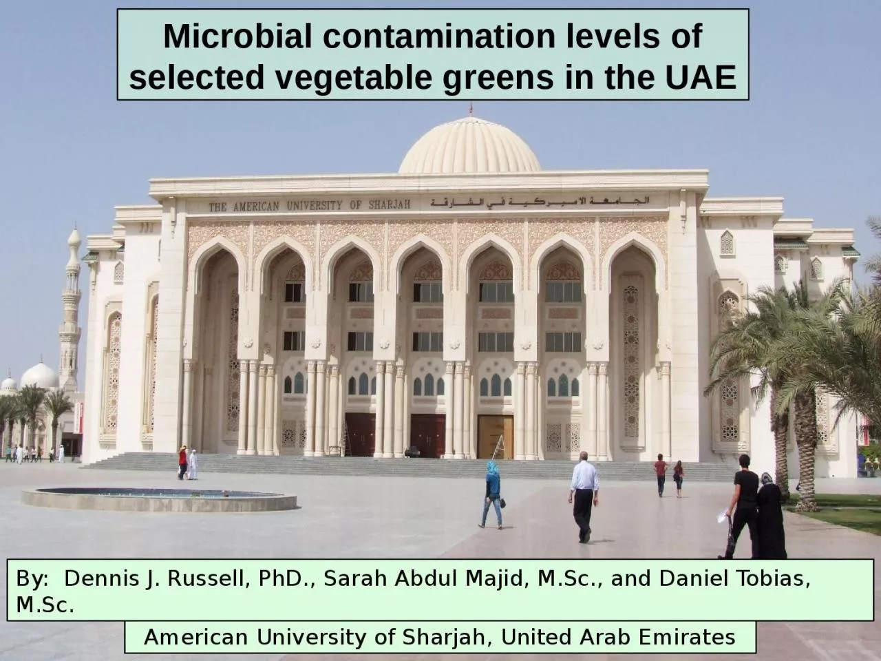 PPT-Microbial contamination levels of selected vegetable greens in the UAE