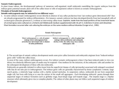 Somatic Embryogenesis In plant tissue culture, the developmental pathway of numerous well-