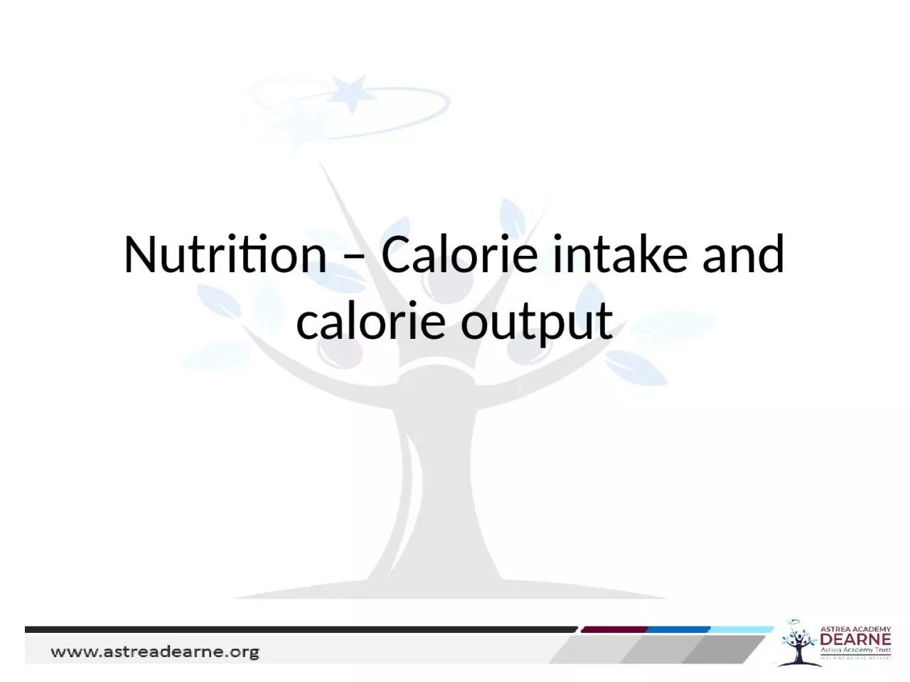 Nutrition – Calorie intake and calorie output