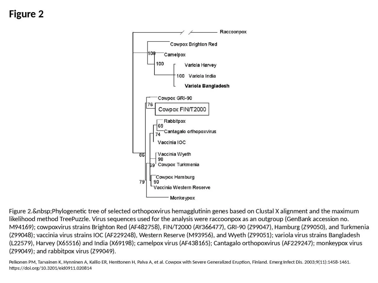 PPT-Figure 2 Figure 2.&nbsp;Phylogenetic tree of selected orthopoxvirus hemagglutinin