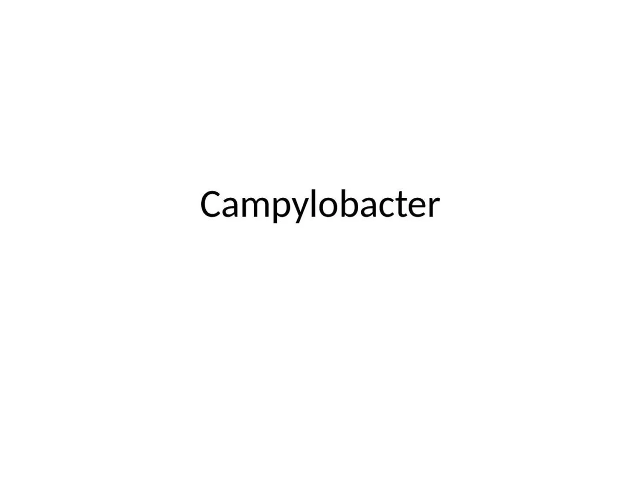 Campylobacter Campylobacter
