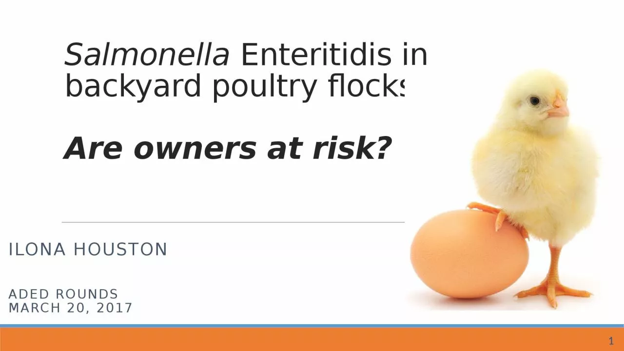 PPT-Salmonella Enteritidis