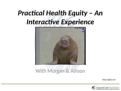 Practical Health Equity – An Interactive Experience