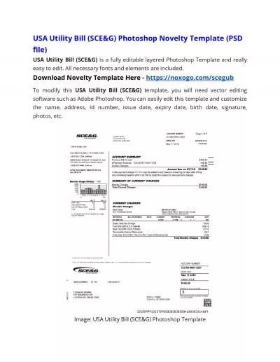 USA Utility Bill (SCE&G) Microsoft Word Novelty Template