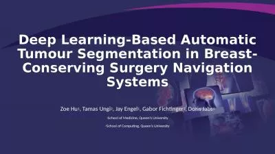 Deep Learning-Based Automatic Tumour Segmentation in Breast-Conserving Surgery Navigation