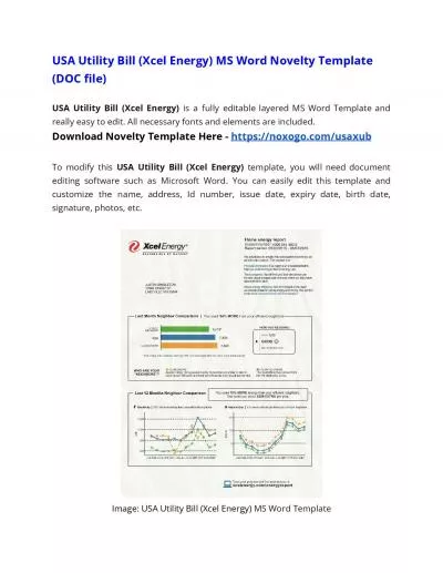 USA Utility Bill (Xcel Energy) Microsoft Word Novelty Template