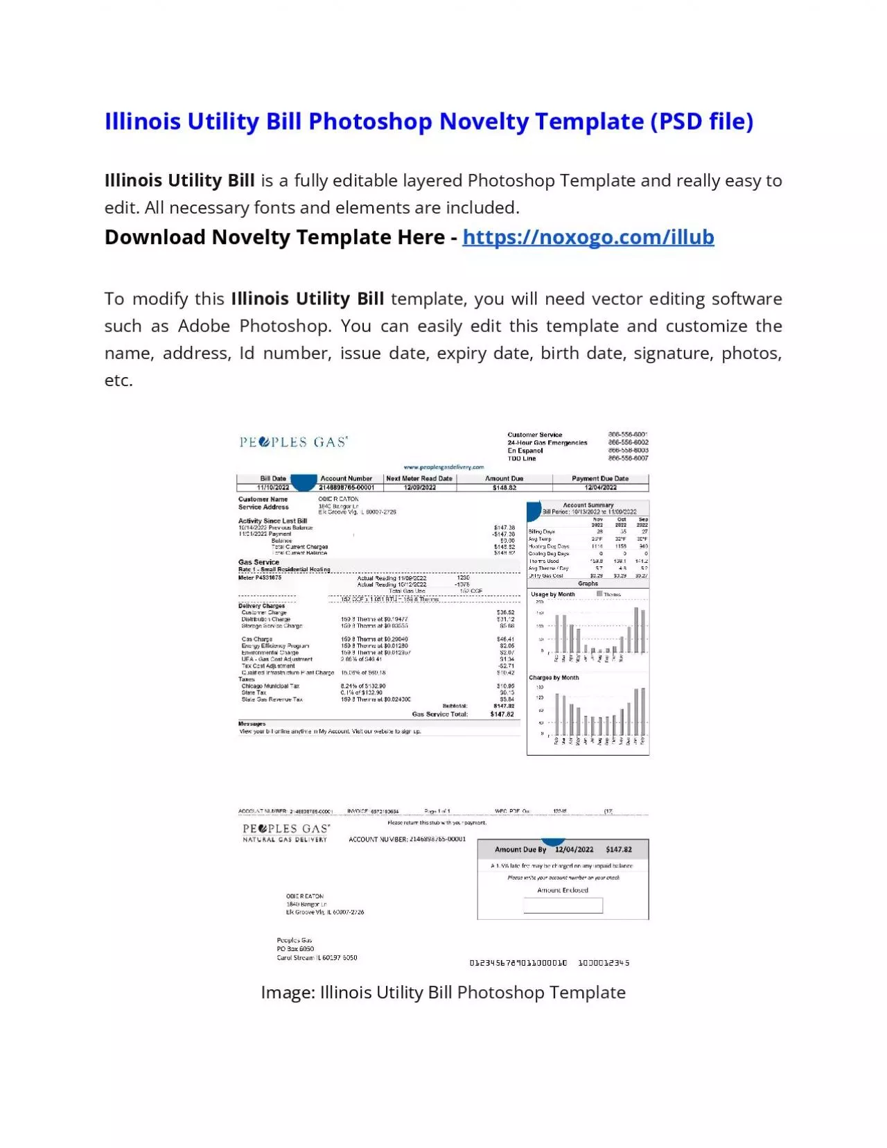 PDF-Illinois Utility Bill Microsoft Word Novelty Template