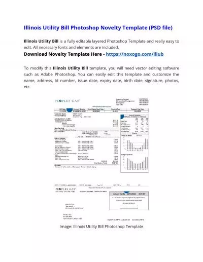 Illinois Utility Bill Microsoft Word Novelty Template