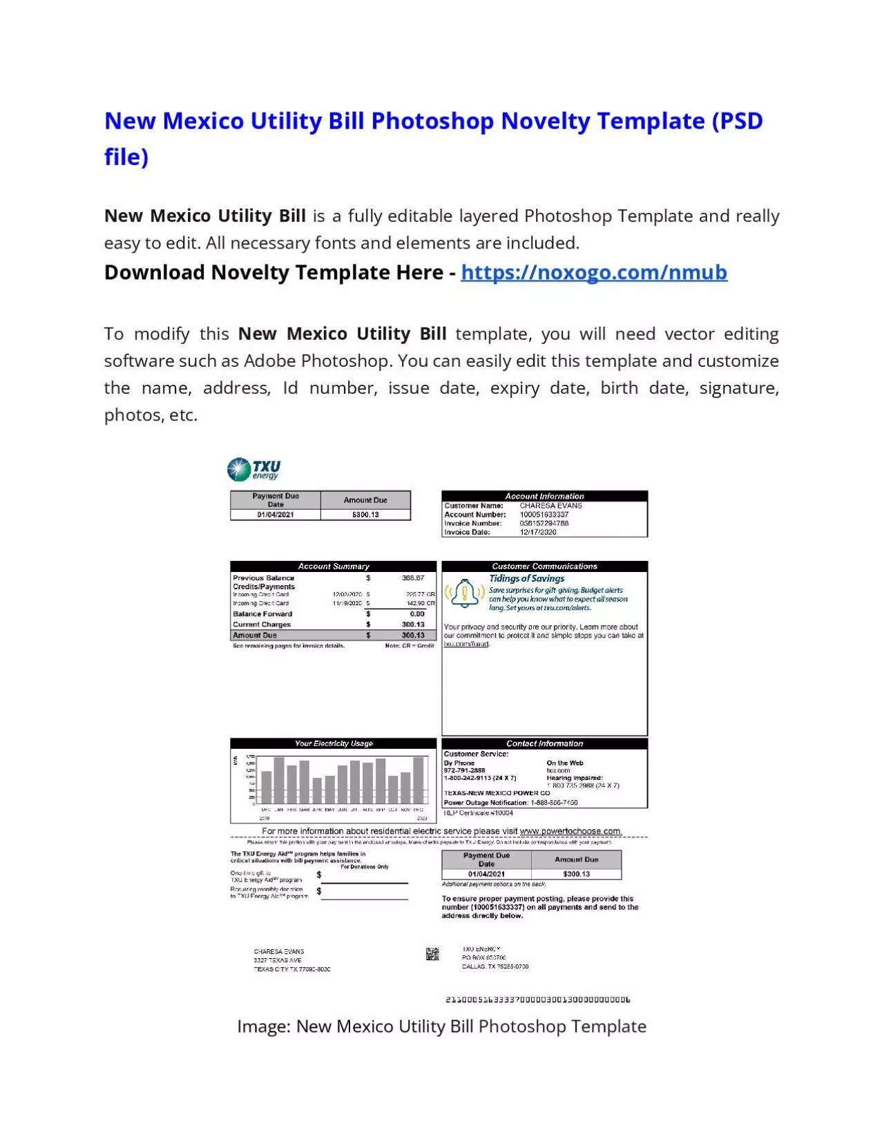 PDF-New Mexico Utility Bill Microsoft Word Novelty Template