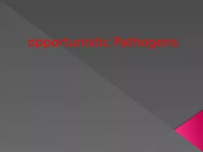 opportunistic Pathogens • opportunistic Pathogens