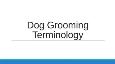 Dog Grooming Terminology