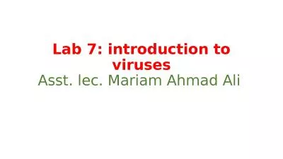 Lab 7: introduction to viruses