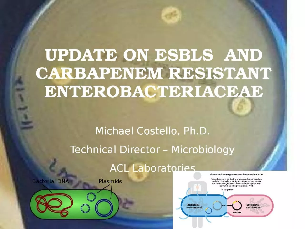 Update on ESBLS  and Carbapenem Resistant Enterobacteriaceae