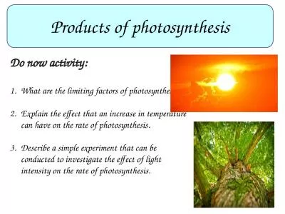 Products of photosynthesis