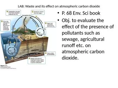 LAB: Waste and its effect on atmospheric carbon dioxide
