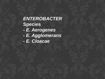 ENTEROBACTER Species  -