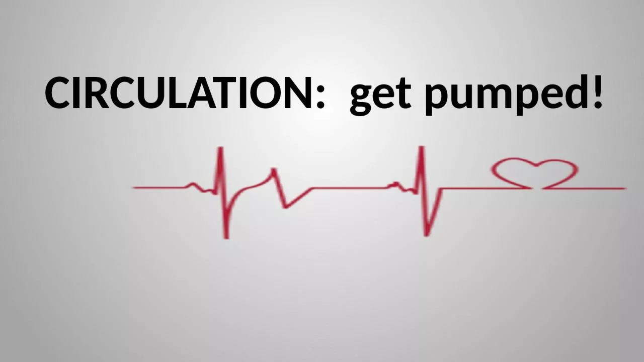 PPT-CIRCULATION: get pumped!