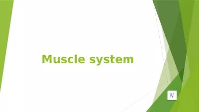 Muscle  system Muscle Tissue
