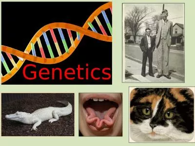 Genetics ….the science that studies how genes are transmitted from one generation to the next.