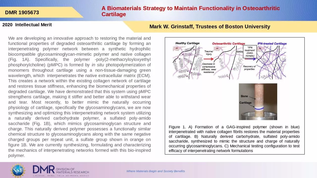 PPT-A Biomaterials Strategy to Maintain Functionality in Osteoarthritic Cartilage