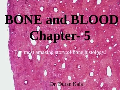 BONE   BONE and BLOOD Chapter- 5