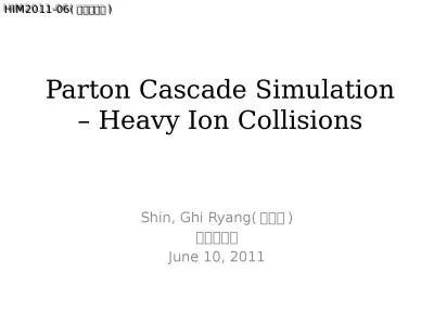 Parton Cascade Simulation – Heavy Ion Collisions