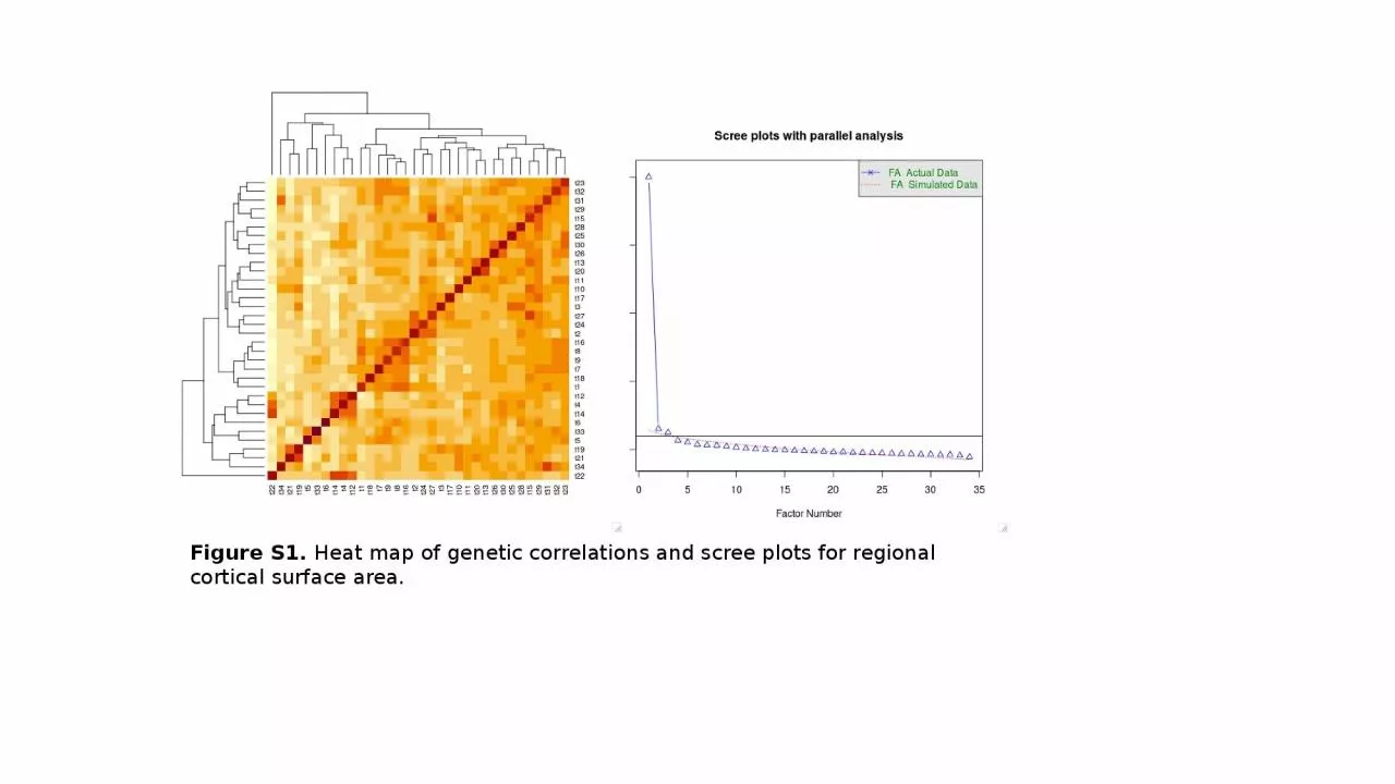 Figure S1.  Heat map of genetic correlations and scree plots for regional cortical surface
