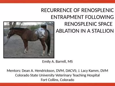   RECURRENCE OF RENOSPLENIC ENTRAPMENT FOLLOWING RENOSPLENIC SPACE