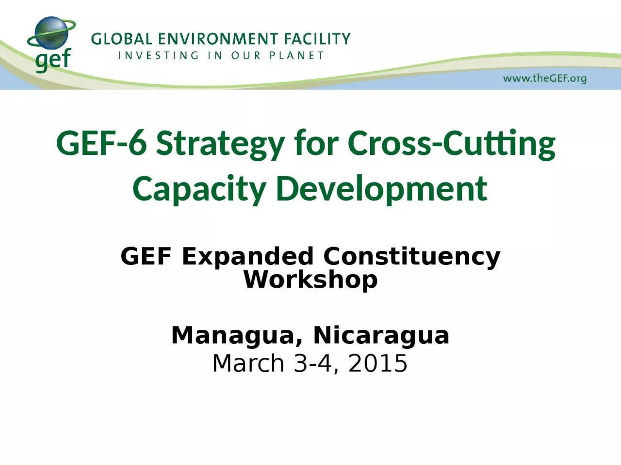 GEF-6 Strategy for Cross-Cutting