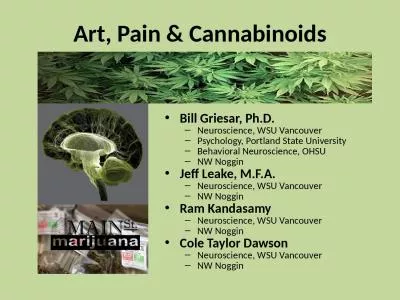 Art, Pain & Cannabinoids