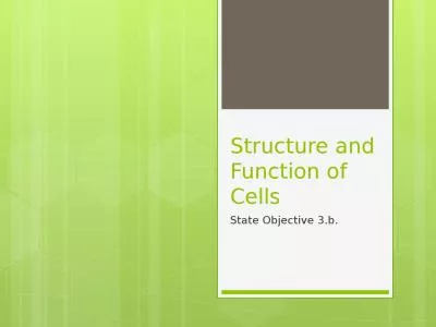 Structure and Function of Cells