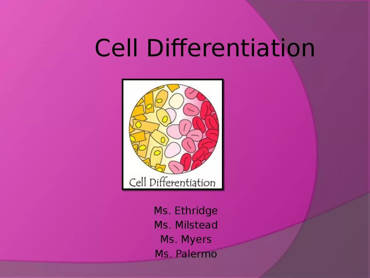Cell Differentiation Ms.
