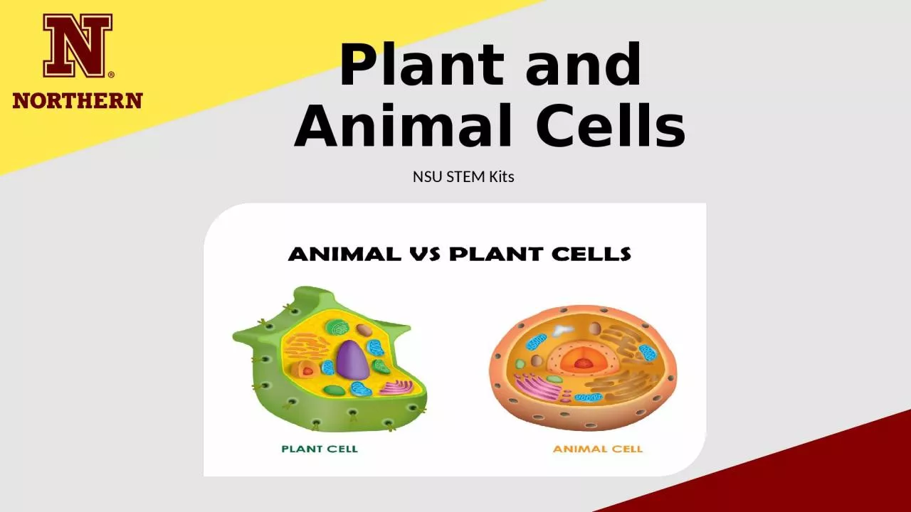 PPT-Plant and Animal Cells NSU STEM Kits