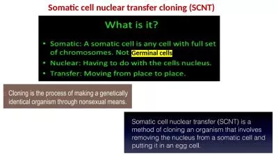Somatic cell nuclear transfer cloning (SCNT)