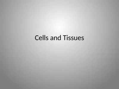 Cells and Tissues Rough