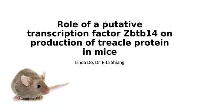 Role of a putative transcription factor Zbtb14 on production of treacle protein in mice