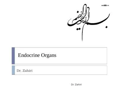 Endocrine Organs Dr.  Zahiri