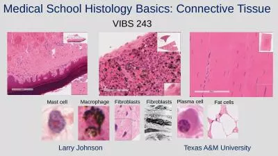 Medical School Histology