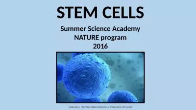 STEM CELLS Summer Science Academy